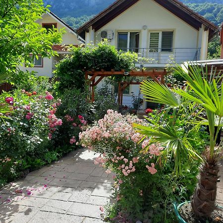 Pension Eden เบยเล เฮร์คูลาเน ภายนอก รูปภาพ