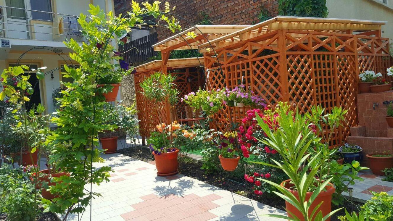 Pension Eden เบยเล เฮร์คูลาเน ภายนอก รูปภาพ