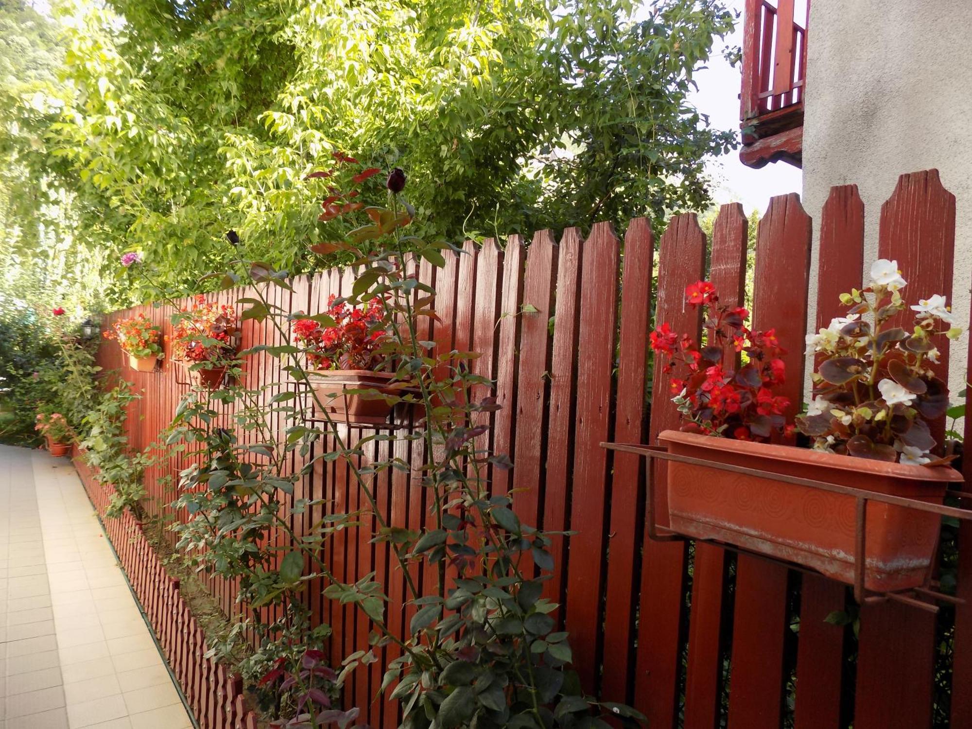 Pension Eden เบยเล เฮร์คูลาเน ภายนอก รูปภาพ