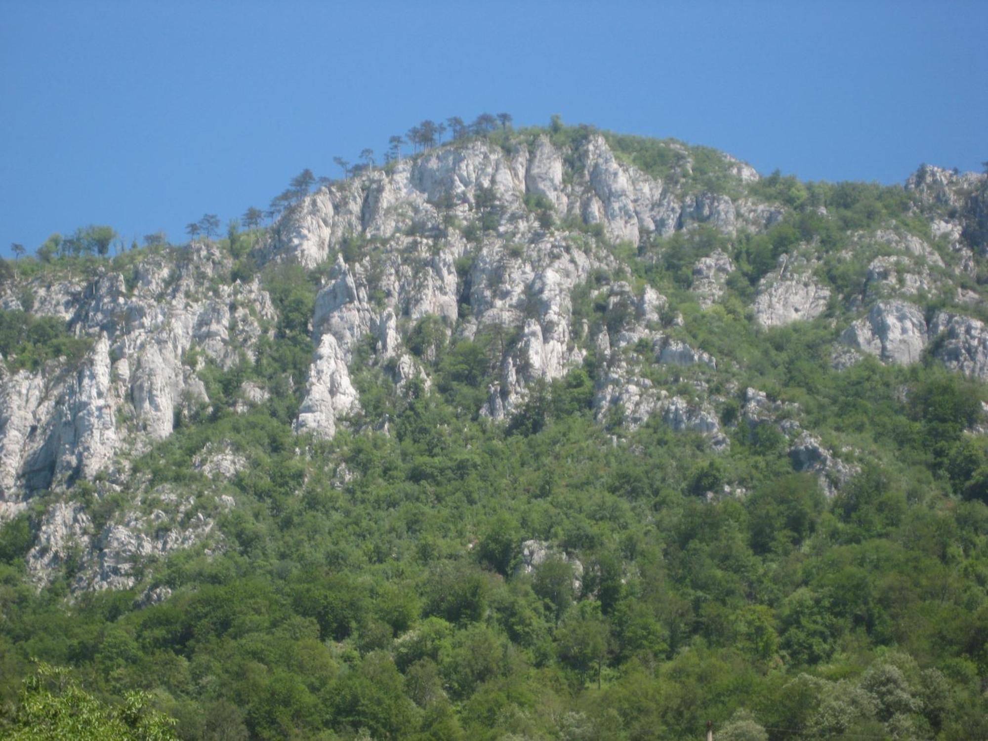 Pension Eden เบยเล เฮร์คูลาเน ภายนอก รูปภาพ