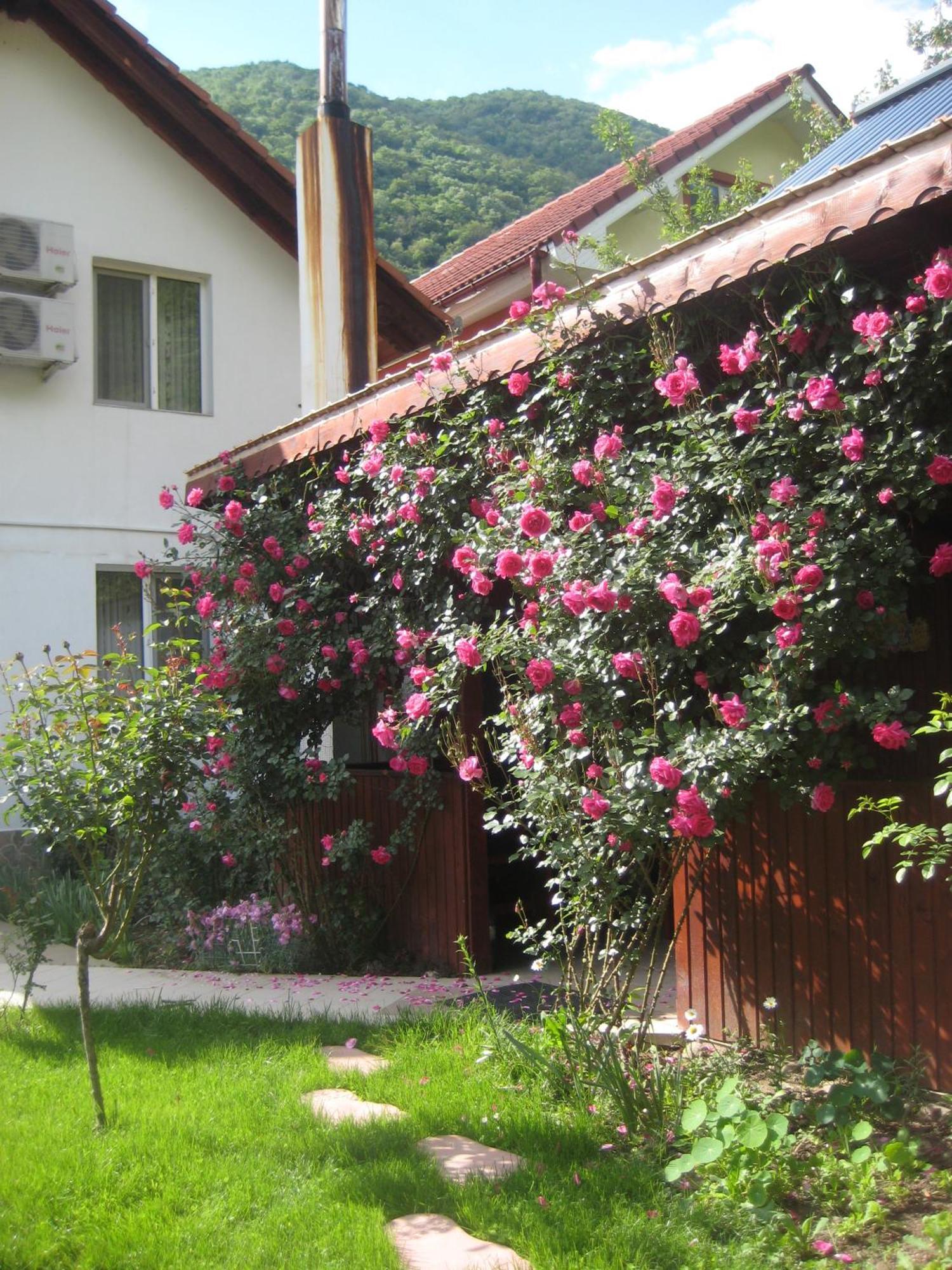Pension Eden เบยเล เฮร์คูลาเน ภายนอก รูปภาพ
