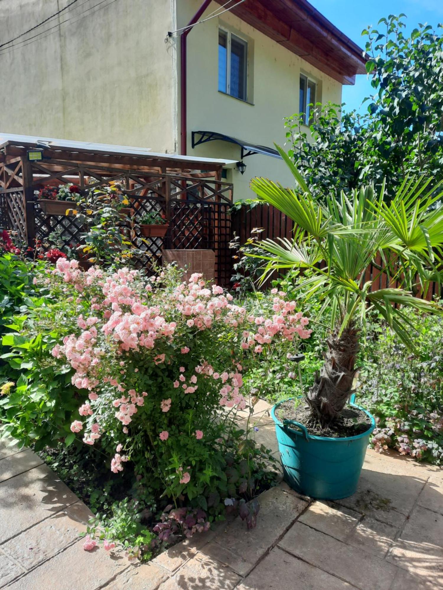 Pension Eden เบยเล เฮร์คูลาเน ภายนอก รูปภาพ