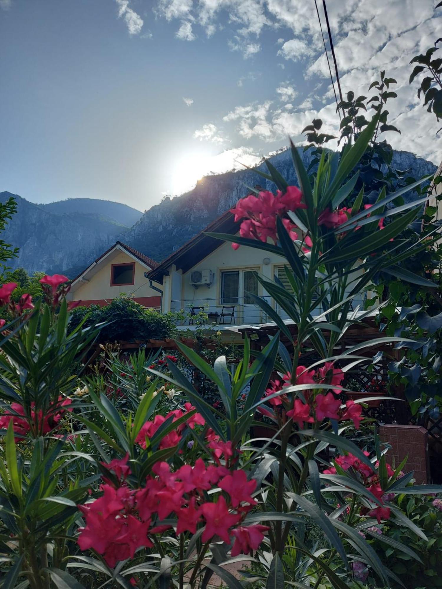 Pension Eden เบยเล เฮร์คูลาเน ภายนอก รูปภาพ