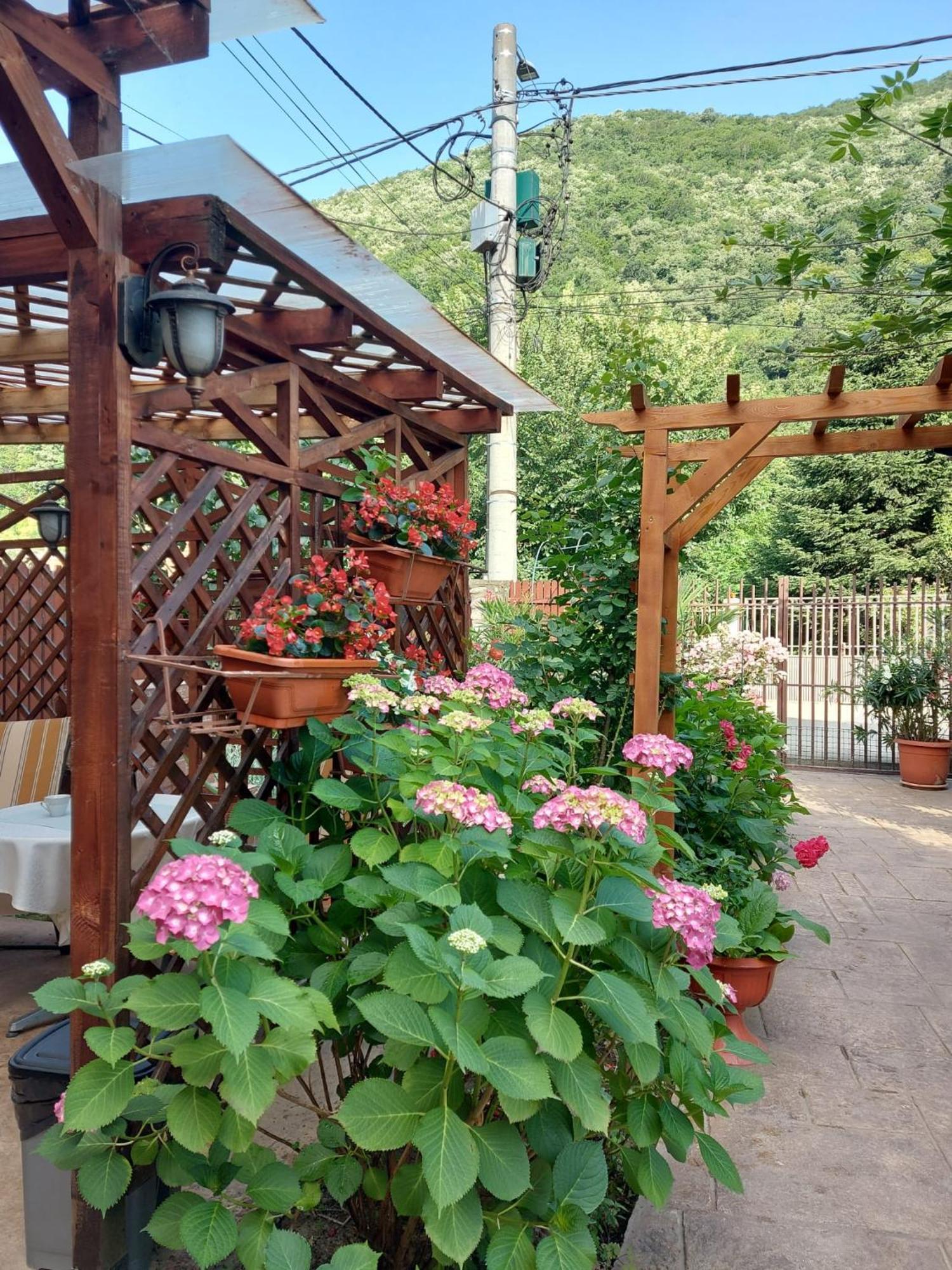 Pension Eden เบยเล เฮร์คูลาเน ภายนอก รูปภาพ